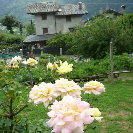 Natura E Relax